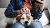 Petting Dogs Can Boost Your Mental Health