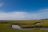 Amelia Island