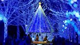 800米藍色燈海隧道聖誕市集一次玩！77萬顆燈飾點亮青之洞窟