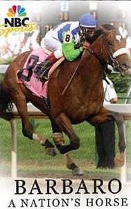 Barbaro: A Nation's Horse