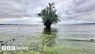 Lough Neagh blue-green algae 'back with a vengeance'