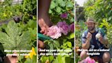 Expert gardener reveals ultra-cheap hack for tackling powdery mildew on plants: ‘It has worked wonders in my garden’