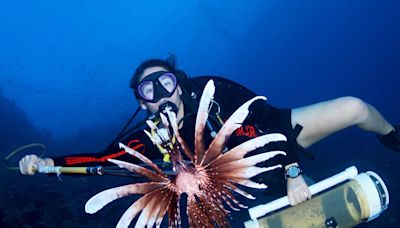 Curaçao Hunts For Sustainability In The Caribbean—And A Lionfish Or Two