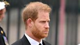 Prince Harry Finally Addressed Critics Who Claim He’s Invading the British Royal Family’s Privacy