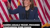 'I know Trump's type…': VP Harris weighs into GOP nominee in her first rally after Biden's exit