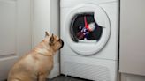 Canine Pros: How, Why and When to Wash Dog Toys