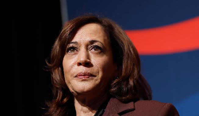 Opinion: Calling Kamala Harris A ‘DEI Hire’ is What Bigotry Looks Like | VIDEO | EURweb