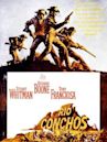 Rio Conchos (film)