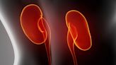 Another Reason to Control Lp(a): To Protect the Kidneys Too