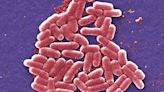 Scientists create new synthetic antibiotic effective against drug-resistant superbugs