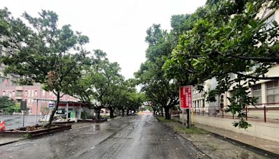 花蓮統帥大樓已拆除！明禮路下週通行 藍天麗池因應端節趕工