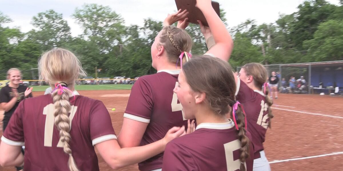 Silver Lake softball living out last ride with senior core