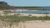 Newly completed living shoreline will help preserve shrinking shoreline at Franklin Point State Park