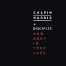 How Deep Is Your Love (Calvin Harris and Disciples song)