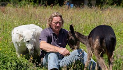 Devon family save day-old abandoned fawn