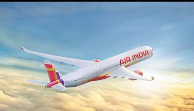 Air India 'forgets' to load PhD student's luggage on San Francisco-Bengaluru direct flight
