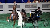 The world’s richest horse show is held at the Kentucky State Fair. What you need to know