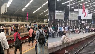 Mumbai News: Local Train Services At Churchgate Station Disrupted After Kid Throws Jacket On Overhead Wire; VIDEO Surfaces