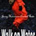Walk on Water (Jerry Harrison album)