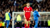 Ryan Babel: “Si Liverpool pierde a Luis Díaz, estará en problemas”
