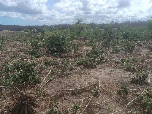 Carlos Madeiro: Grupos armados atuam para expulsar moradores de paraíso turístico do PI