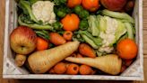 Vegan diet could be linked to reduction in biological age, study suggests