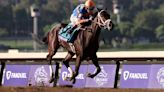 Horse racing-Fierceness the favorite for 150th Kentucky Derby