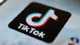 TikTok challenges U.S. ban in court, calling it unconstitutional