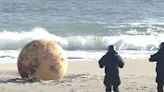 Even astrophysicist Neil deGrasse Tyson has 'no idea' what the large metal ball that washed up on a Japanese beach really is