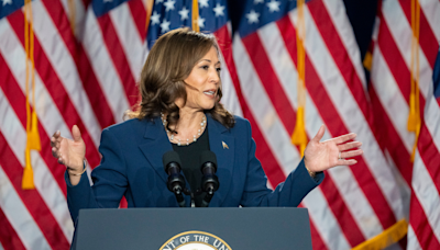 What Is A 'DEI Hire'? Kamala Harris Faces 'Racial Attacks'