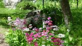 It's National Garden Week. Here are 5 ways to celebrate in North Jersey