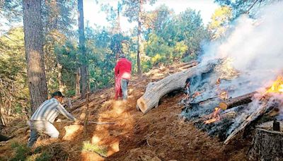 Incendios forestales crecen en Guerrero; registran quemas 20 municipios