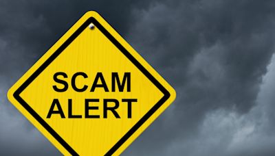 Fake websites will try to scam consumers out of data, money and peace of mind. Stay alert