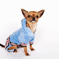 Dog apparel