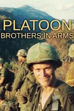 Platoon: Brothers in Arms