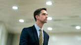 Cotton: People stuck behind Gaza cease-fire protesters should ‘take matters into your own hands’