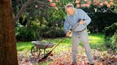 Don't grab the rake! Here's why you shouldn't rake your leaves this fall