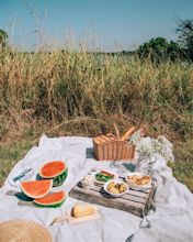 How to Create An Aesthetic Picnic for Instagram (+ Photo Inspo!)