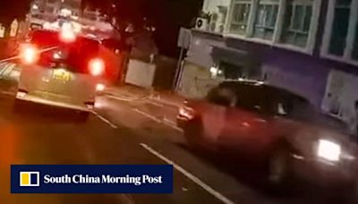 Wild boar killed after Hong Kong taxi runs over pack of hogs in Southern district