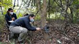 Ante amenazas a flora y fauna, piden "resilvestrar" ciudades