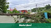 Un ventarrón afecta a Santiago la tarde de este lunes; derriba árboles y bloquea vías