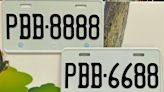 桃園監理站特殊車牌標售3／26登場 「8888」等你帶回家