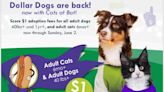 $1 adoption fees for all large adult dogs and adult cats at the Humane Society of Harrisburg Area