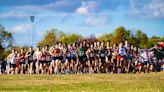 See which runners, teams from Fort Worth-area qualified for UIL state cross country meet