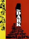 The Dark at the Top of the Stairs (film)