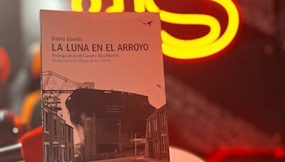 Descubre una obra maestra del noir: “La luna en el arroyo”