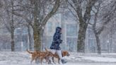 'Significant' snowfall blankets Toronto dumping up to 19 cm of snow in some parts