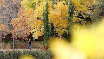 Edmonton weather: It's fall, but it's a cooler summer feel to start the work week