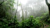 78 Dead, More Missing After Extreme Rainfall In South Brazil