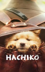 Hachiko